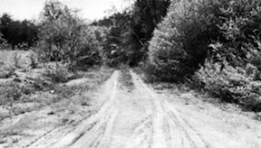 Ely's Ford Road