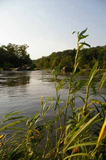 River02