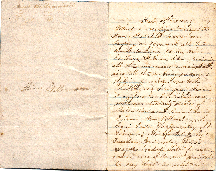 Alice Williamson's diary