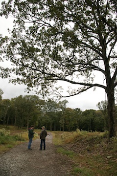 MackowskiMorganBallsBluff