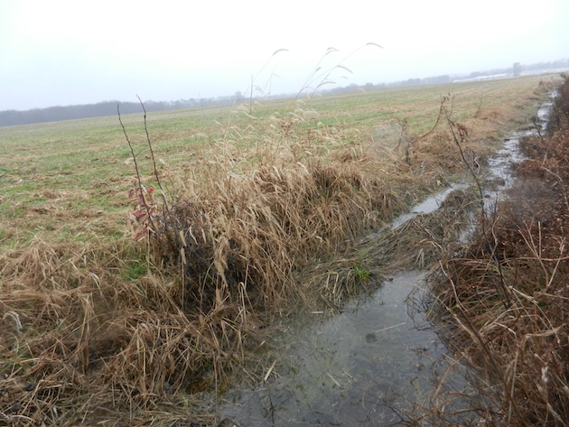 SlaughterPen-DitchFence