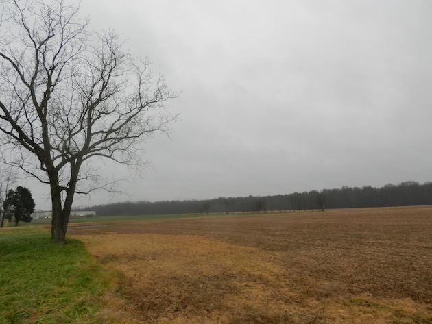 SlaughterPen-Meade02