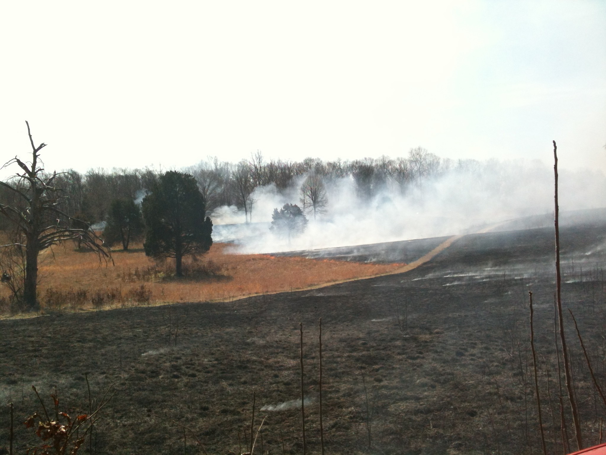 A Smokey Bloody Angle