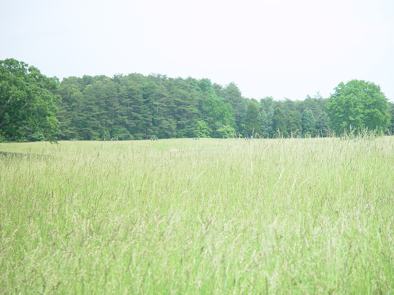 Henry House Hill, Manassas