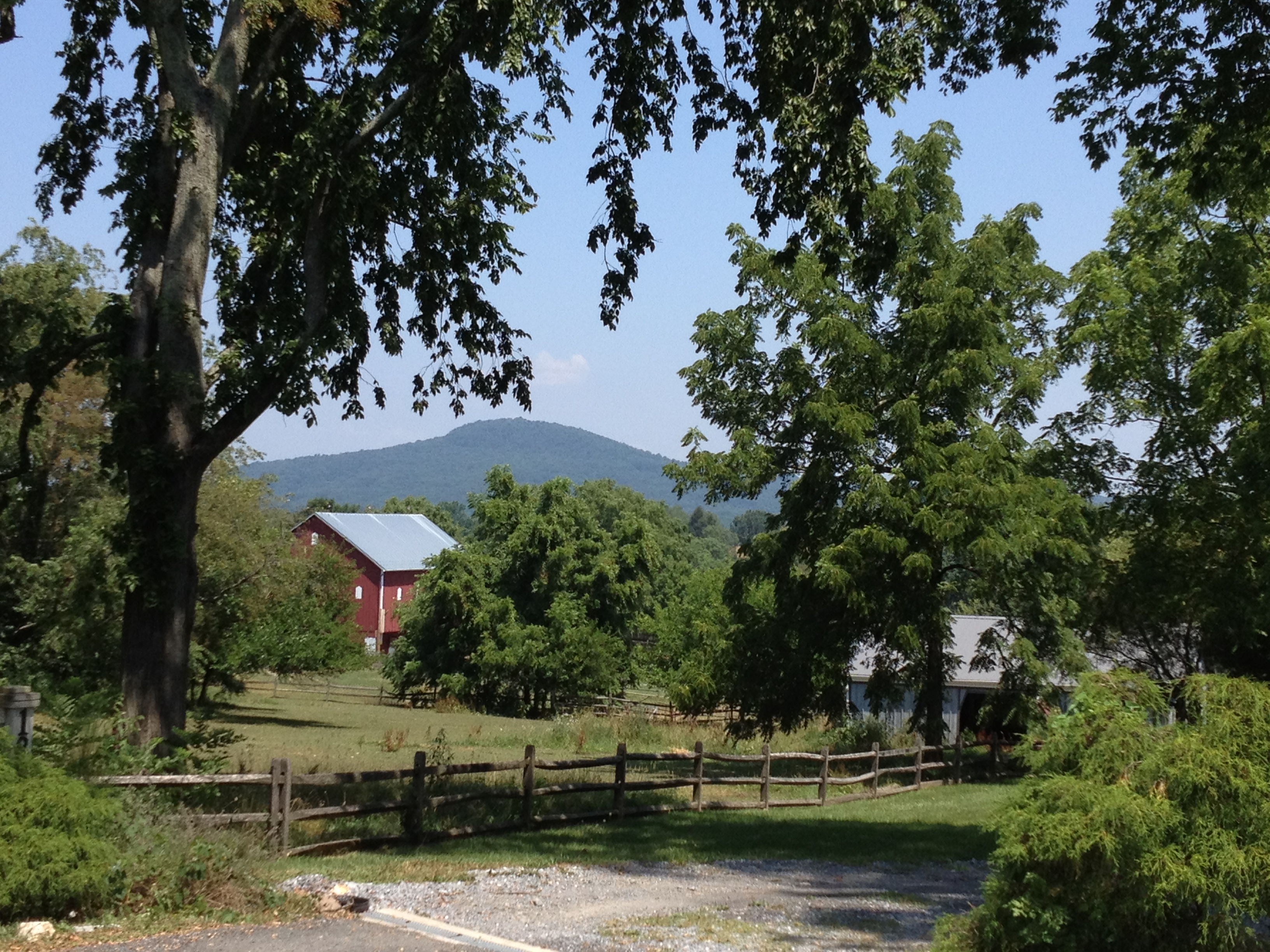 Barnesville Looking Toward Sugarloaf Mt