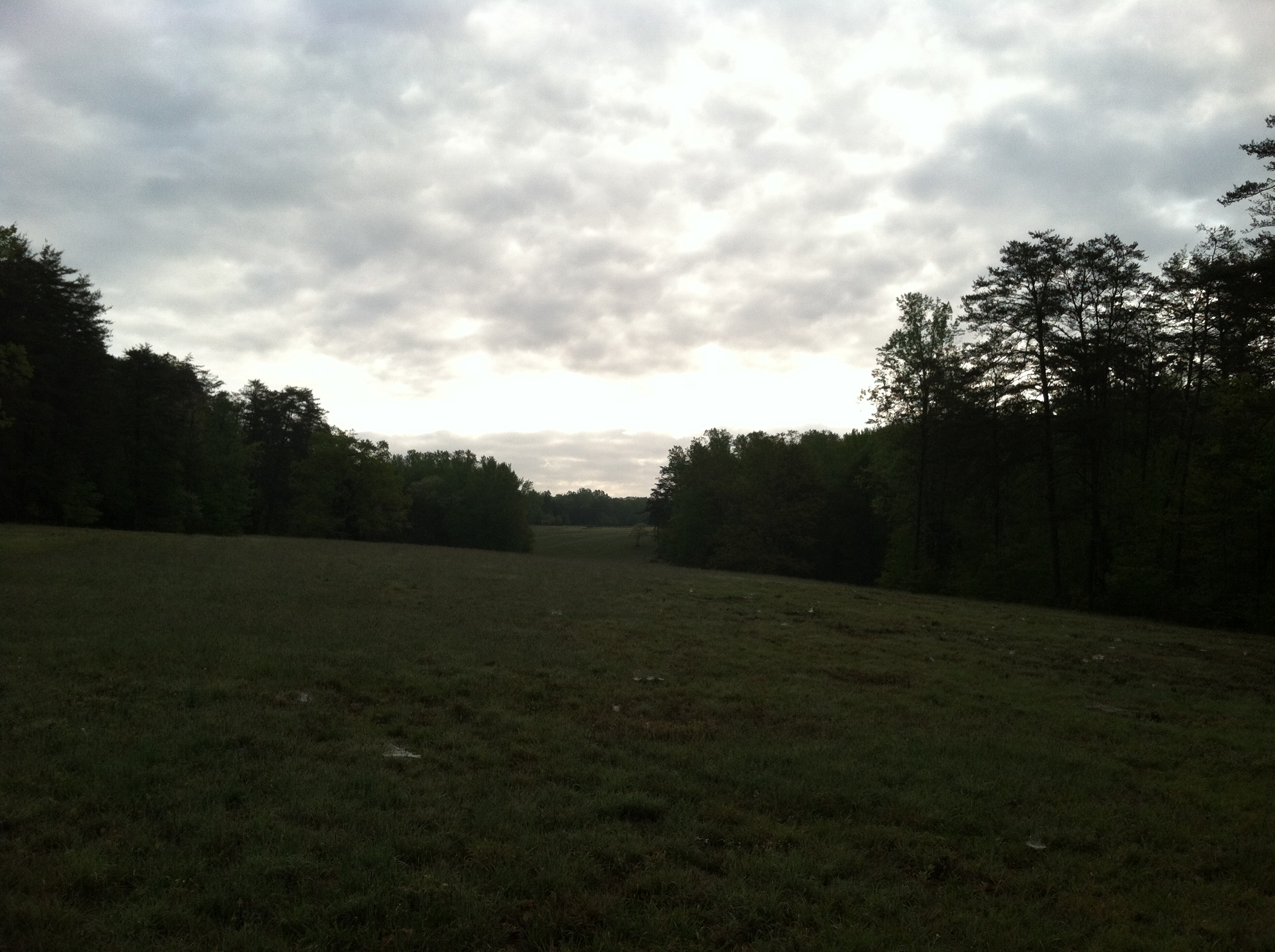 The clearing between Hazel Grove and Fairview.Looking Northeast from the ridge line, toward Fairview. (KDW)