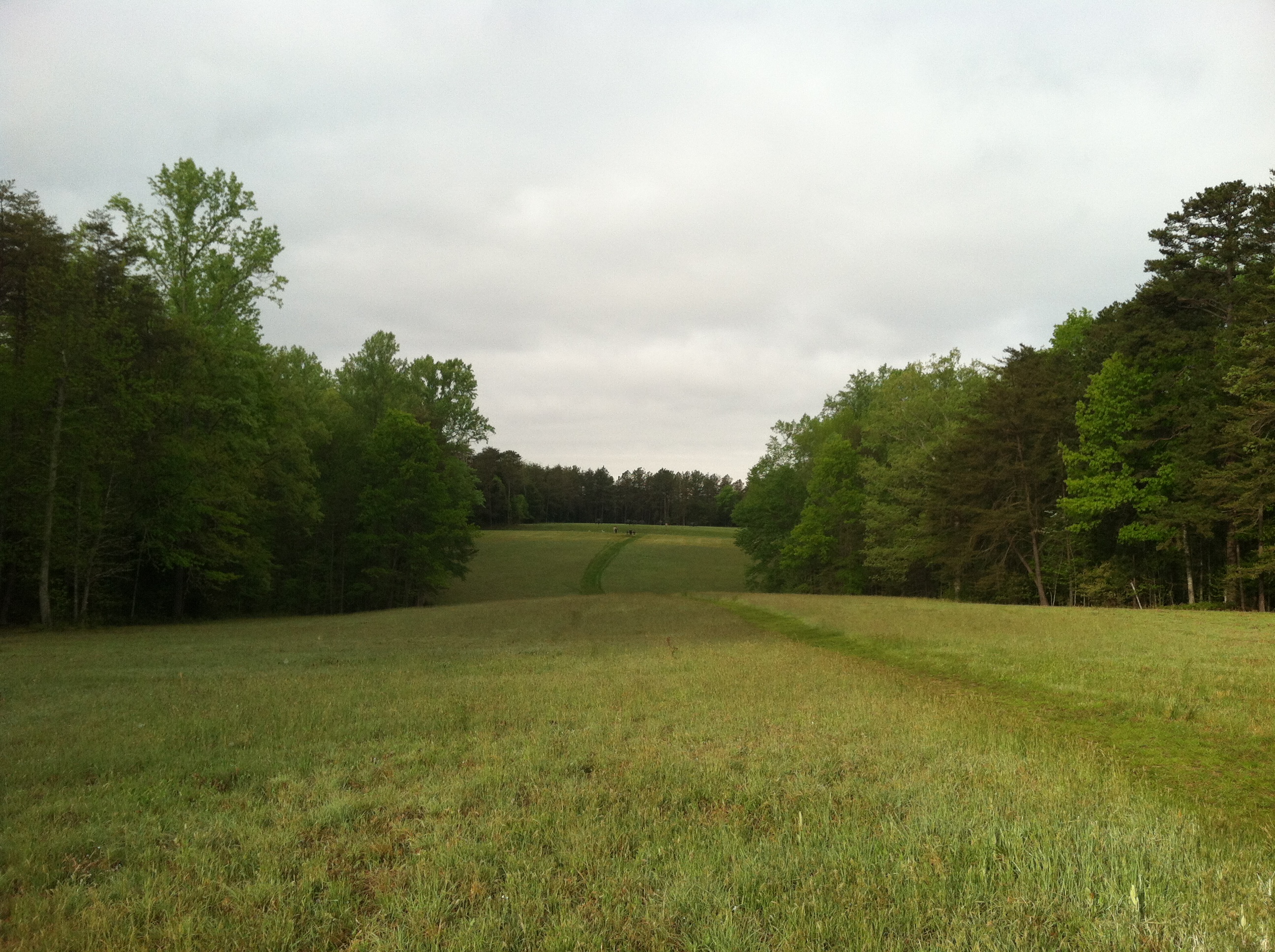 Standing on the ridge line between Hazel Grove and Fairview. This view is facing southwest, looking toward Hazel Grove. (KDW)