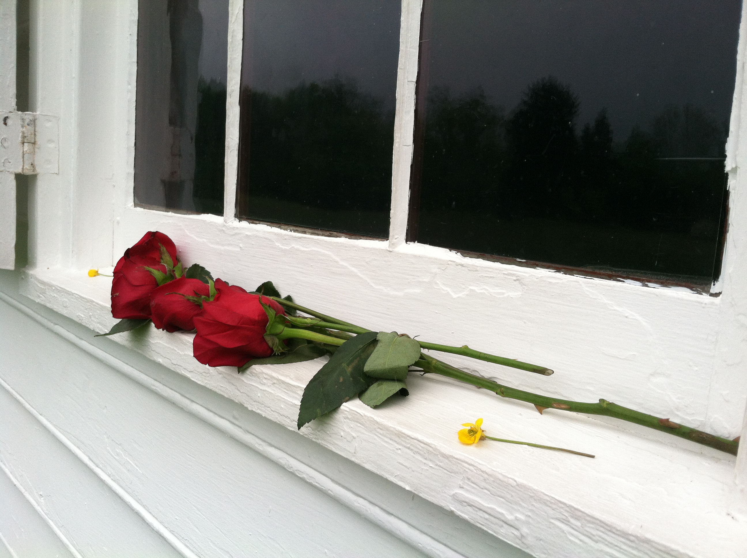 Roses left at the Shrine