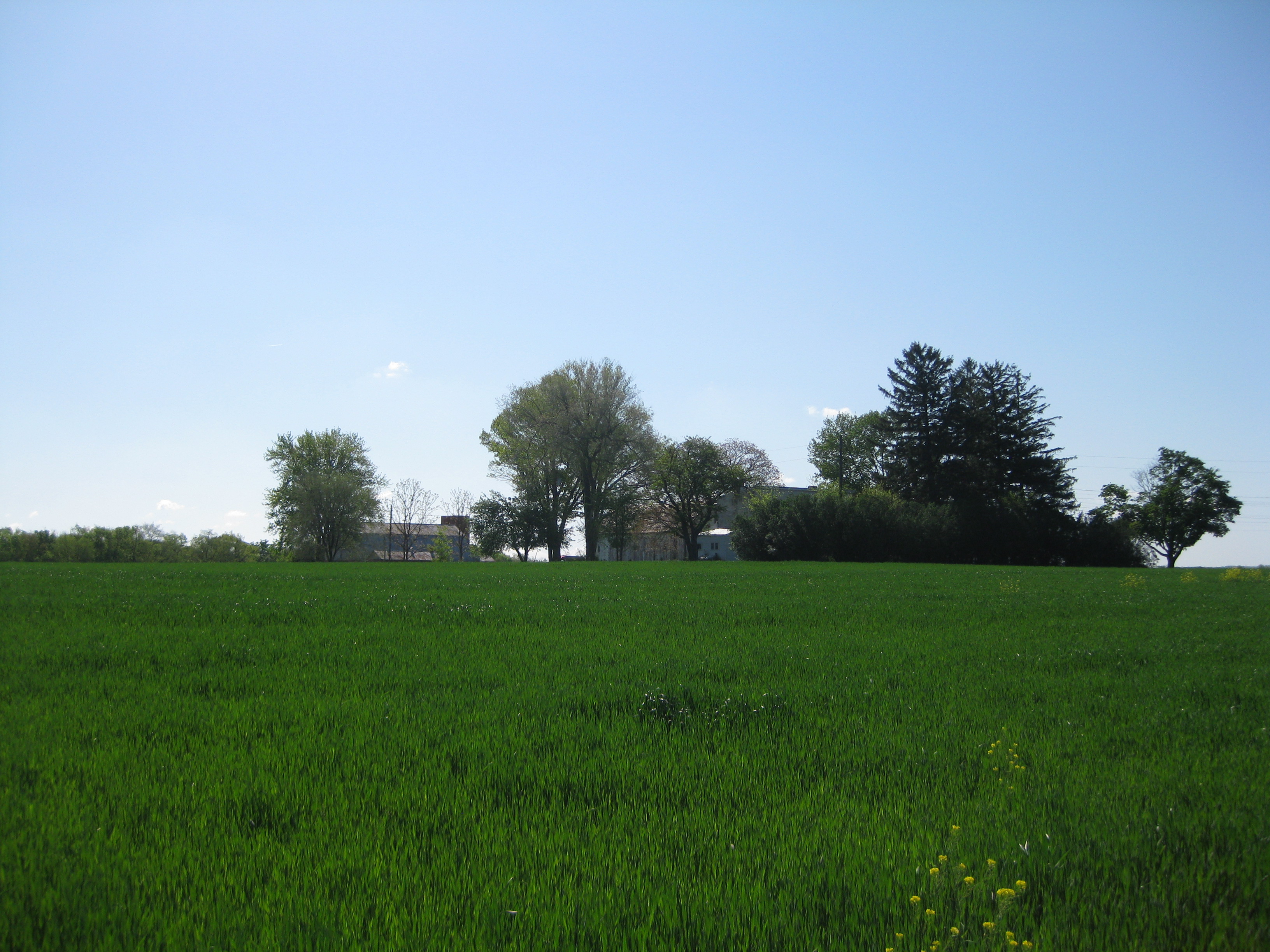 Richfield as seen from the Civil War Trails pull off. Custer found out that he was promoted to Brigadier General at this house.