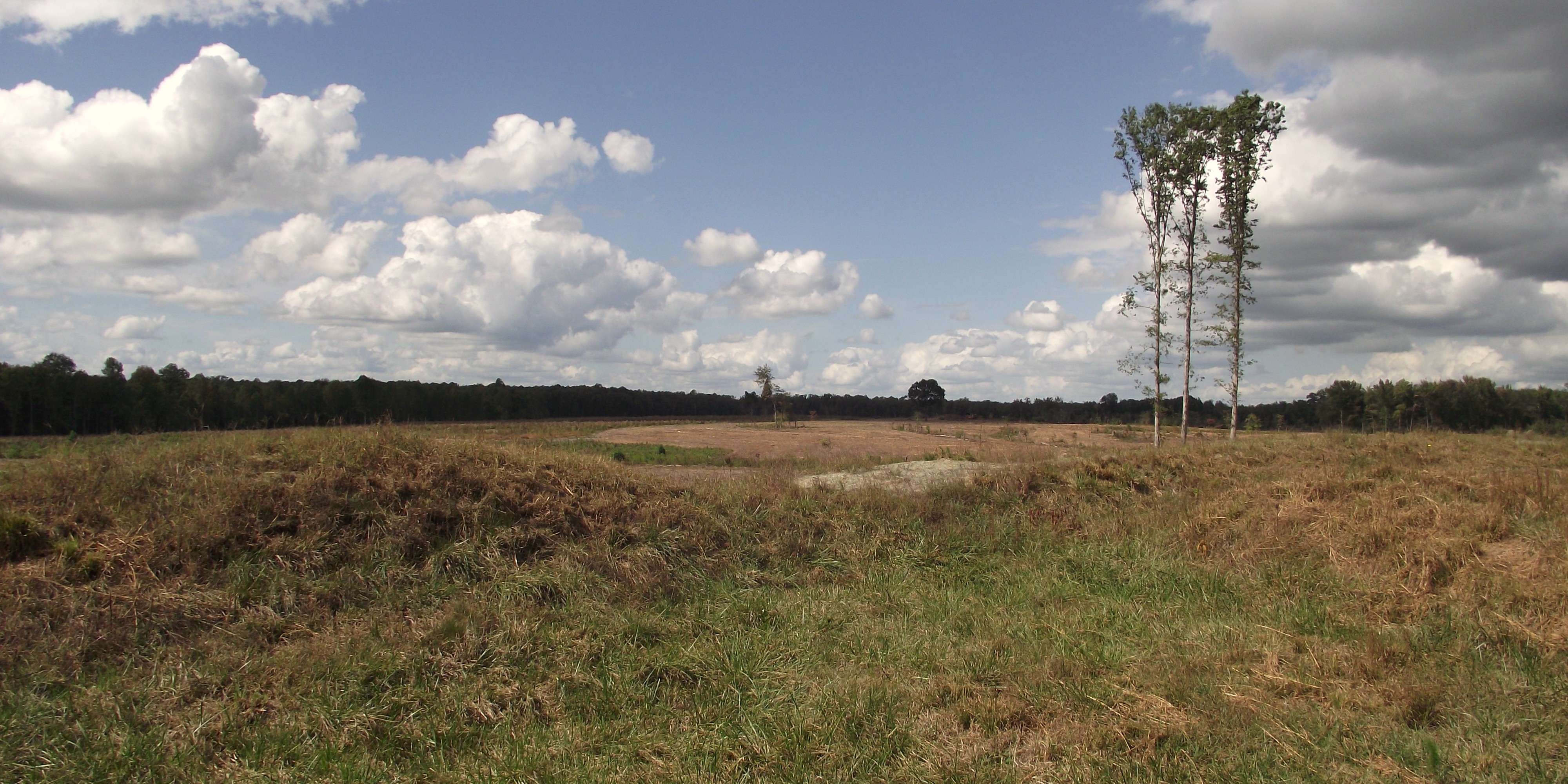 View from Fort Welch towards the Confederate position