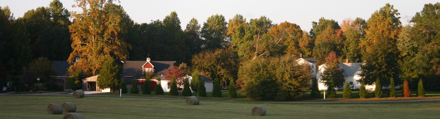 Stevenson Ridge on the Spotsylvania Battlefield.