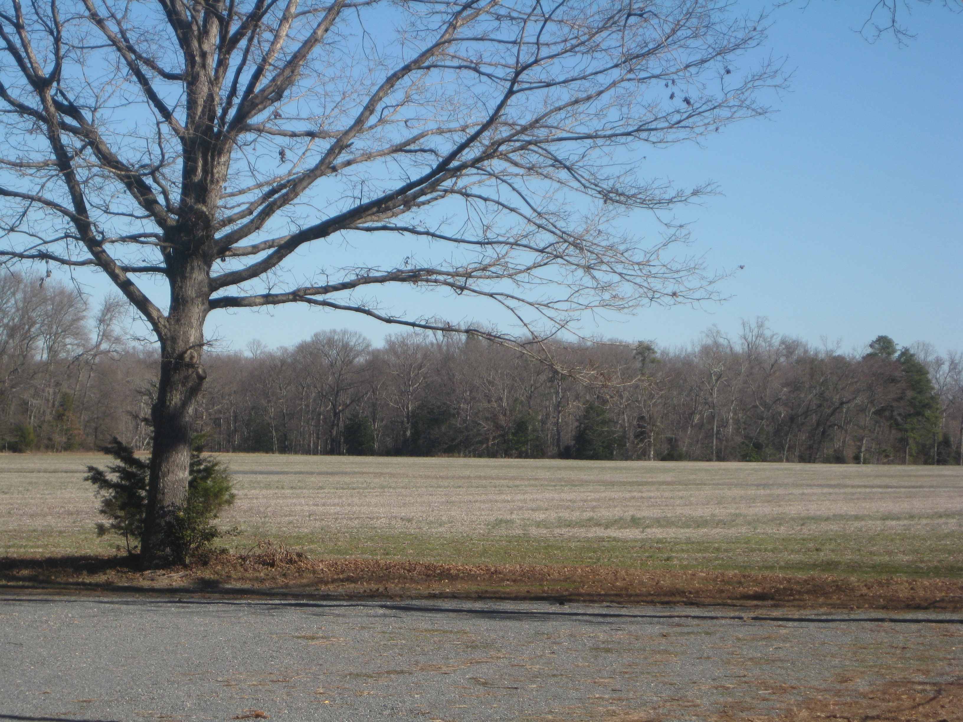 Haw's Shop was a meeting engagement, where both sides collided unexpectedly. After some initial see saw fighting, the two lines stabilized. David Gregg remembered after the battle "for some hours, the contest was maintained under a heavy and destructive fire, the lines of the contending forces being closely drawn up on each other". A portion of the fighting Gregg described took place across this open ground.