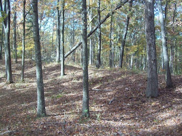 The earthworks of Van Den Corput's Battery