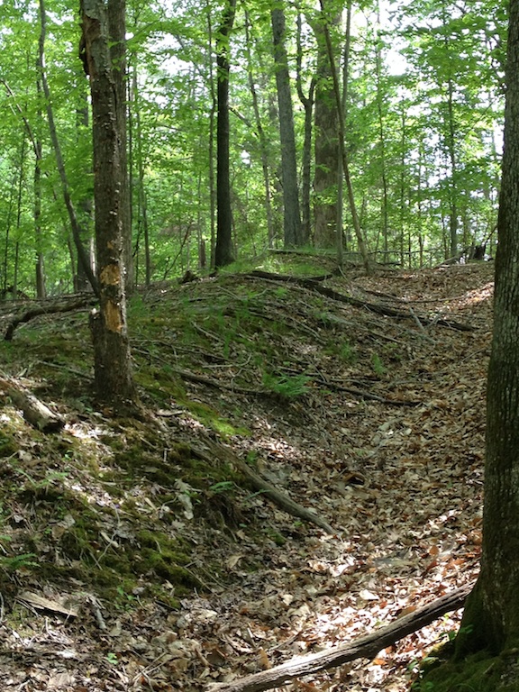 Compared to other earthworks, these look backwards because the ditch is in front of the mound of dirt, not behind is as it is in most field fortifications.
