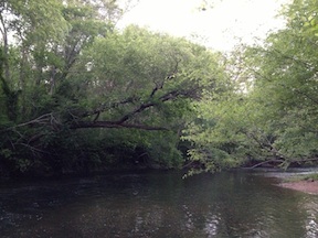 The North Anna River