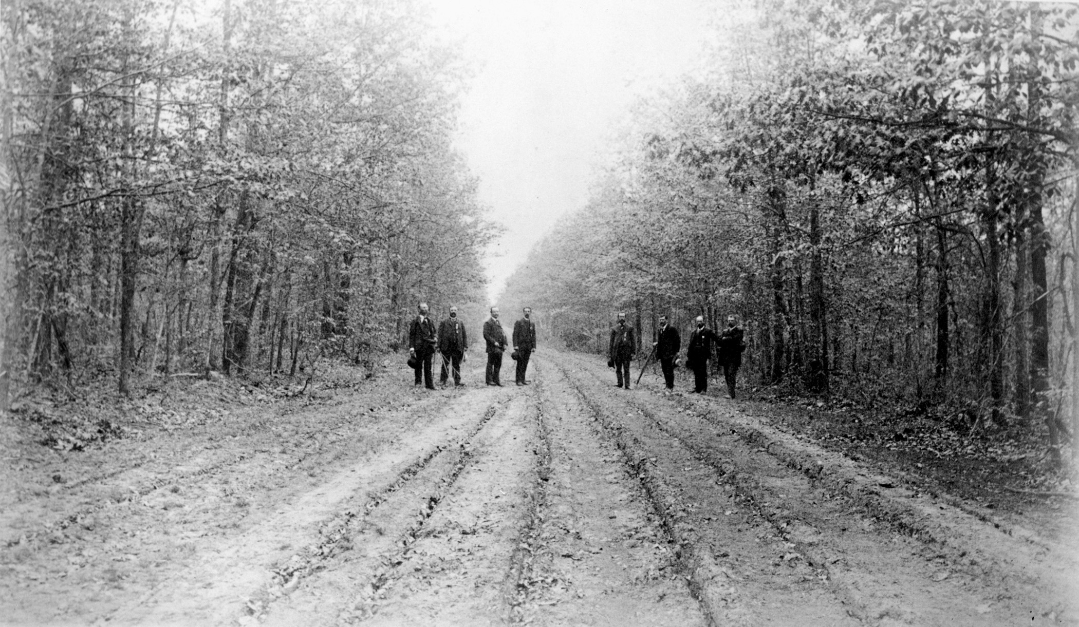 Veterans on the Orange Plank Road. (Fredericksburg and Spotsylvania National Military Park Collection.)