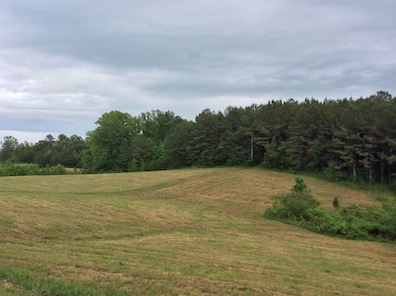 The ground where the final fight took place