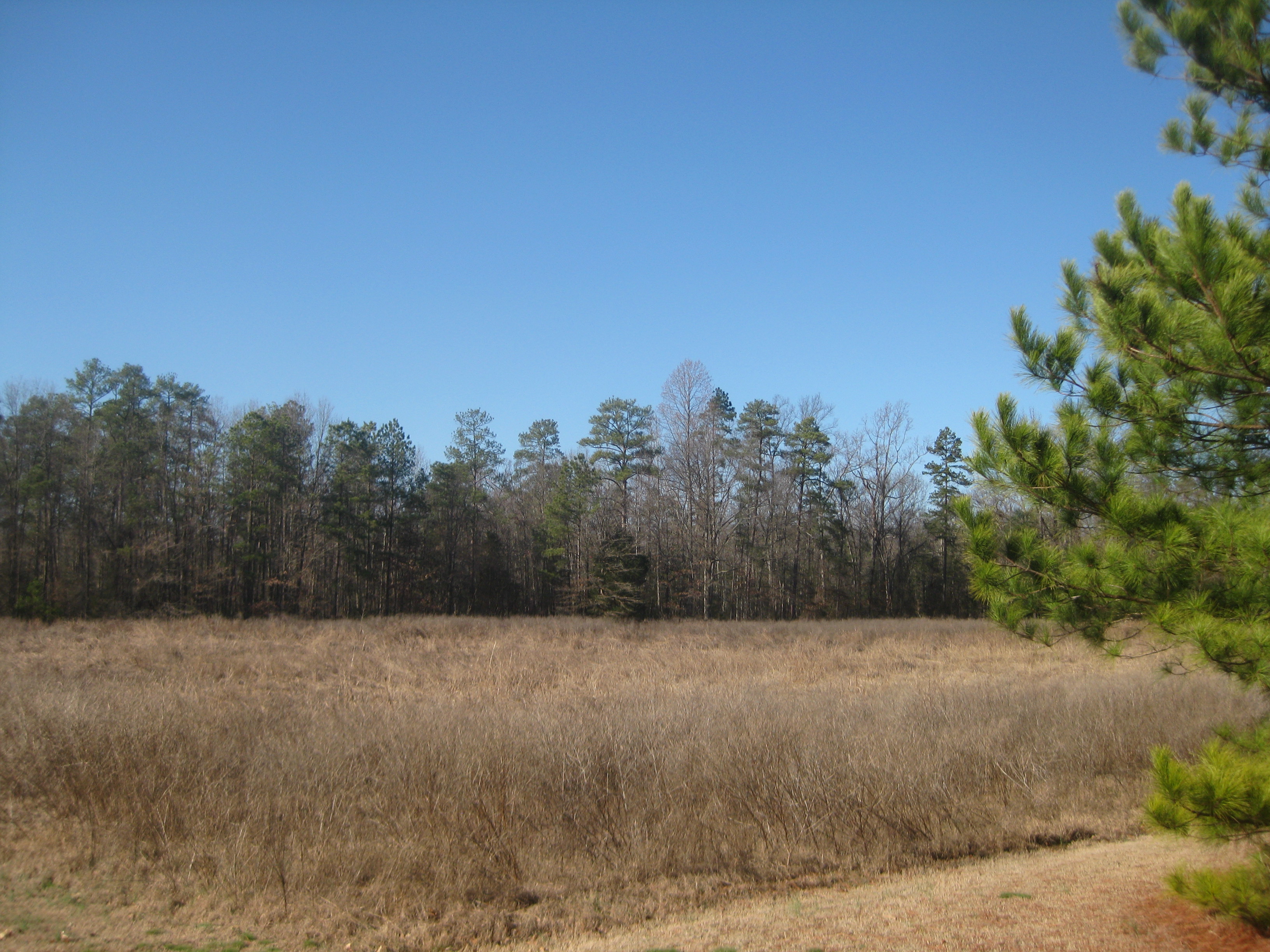 Upton's brigade attacked across this ground on June 1.