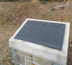 "Field of Heaviest Losses" at Cold Harbor