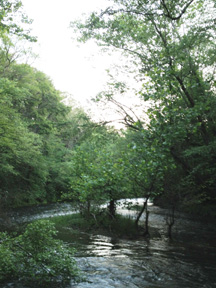 Ox Ford at the North Anna River, downriver from Jericho Mills