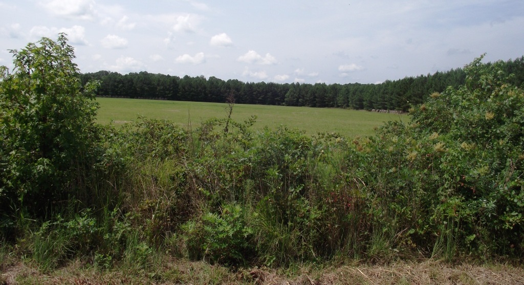 View from the Union position north of Depot Road (presently Reams Drive)