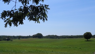 From NPS-owned property at Jackson's Flank attack, looking eastward