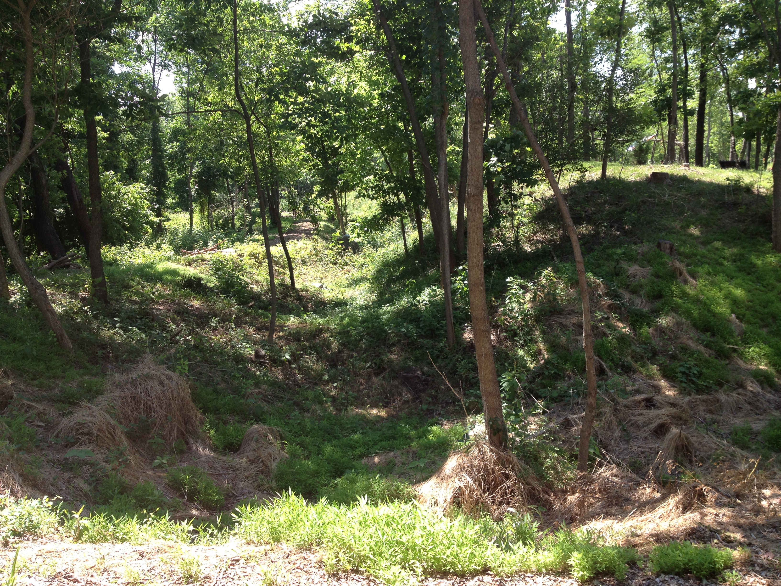 One of the earthen walls of Star Fort, site where Union Colonel James Schoonmaker won a Medal of Honor from. Come see it this weekend and learn about the fighting that took place here and around Winchester!