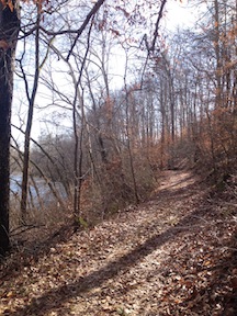 The road along the edge of the river (cm)