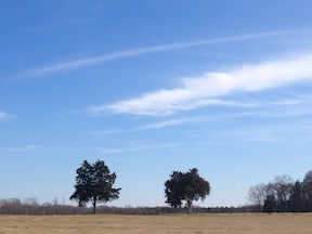 NAR-JerichoField