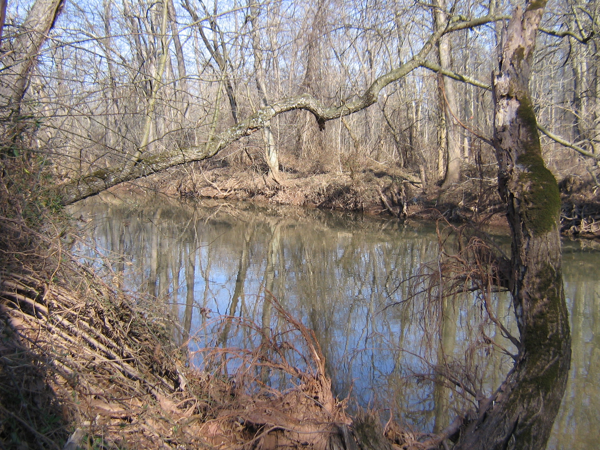 Rock Creek