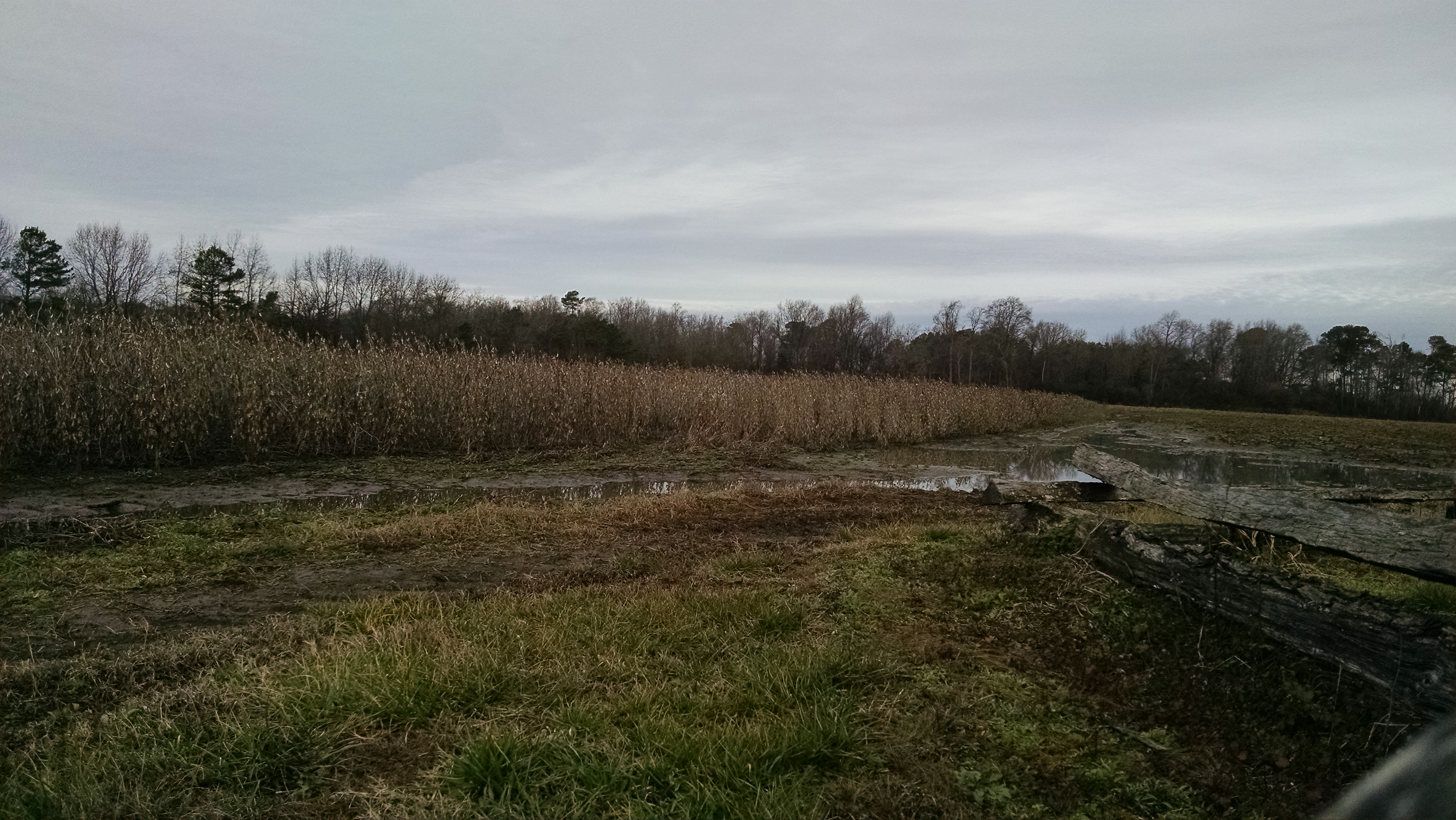 The Reddick Morris Farm.