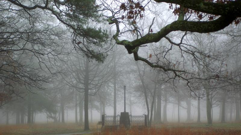 Cowpens at dawn.  NPS photo