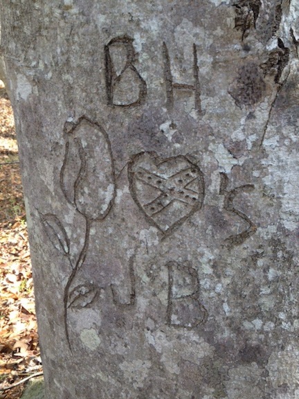 NAR Confed Tree Carving
