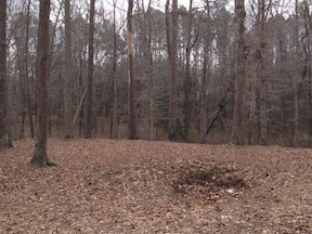 Confederate rifle pits at Pamplin Historical Park