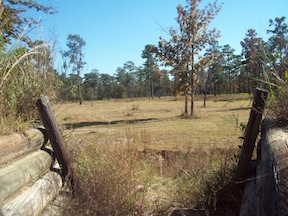 Redoubt 4 at Ft. Blakely