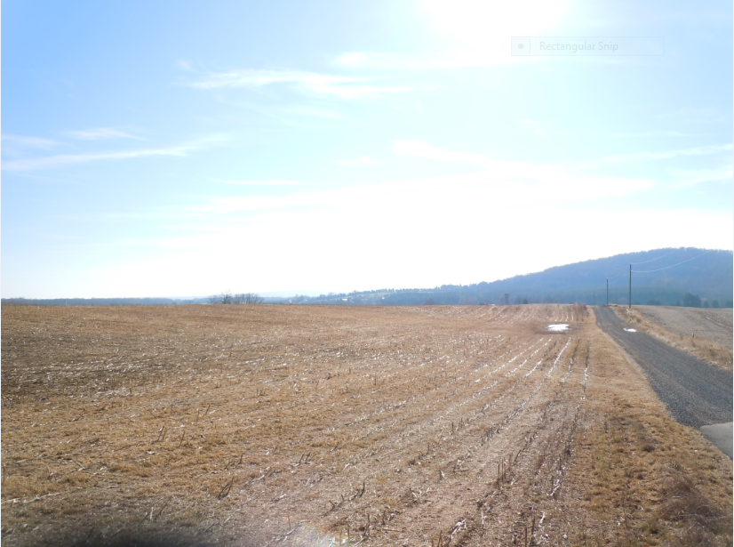 From Crittenden Lane looking towards Cedar Mountain.