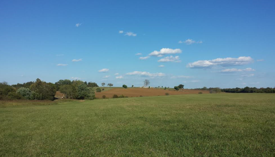Fleetwood Hill at Brandy Station