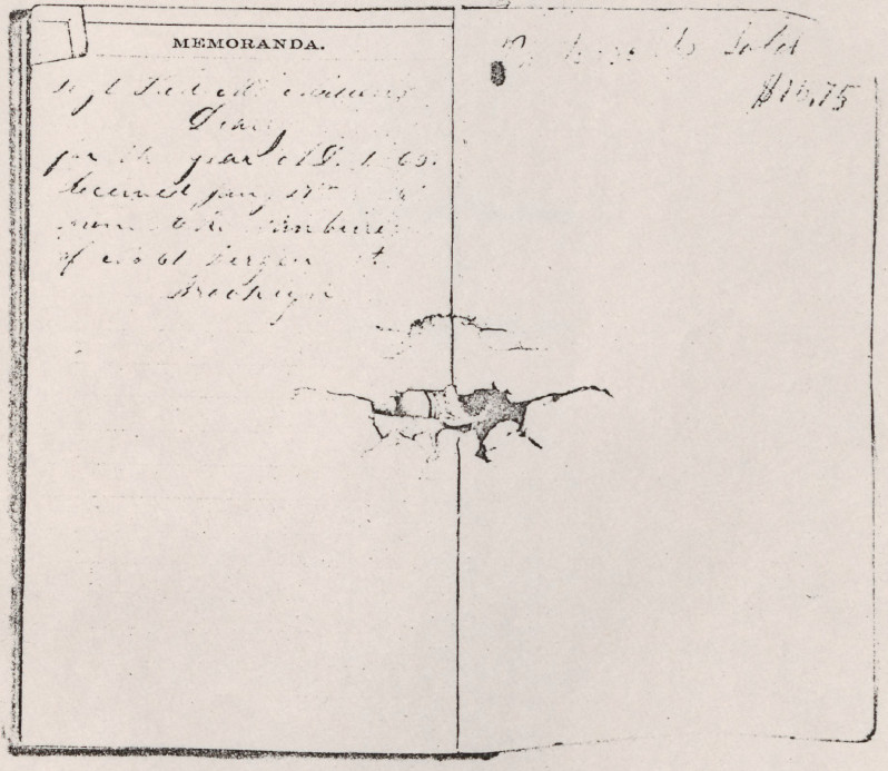 Sergeant Francis McMillen's diary, courtesy of East Carolina University