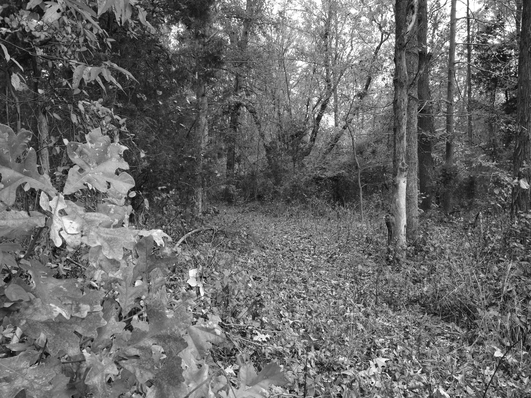 Stuart's Hideout at Auburn