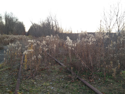 Final Rails
