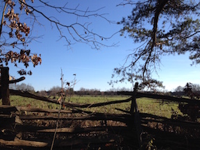 Payne's Farm Worm Fence