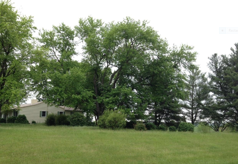 The fighting that raged across the parcel is highlighted in the forthcoming ECWS release, "Out Flew the Sabres".