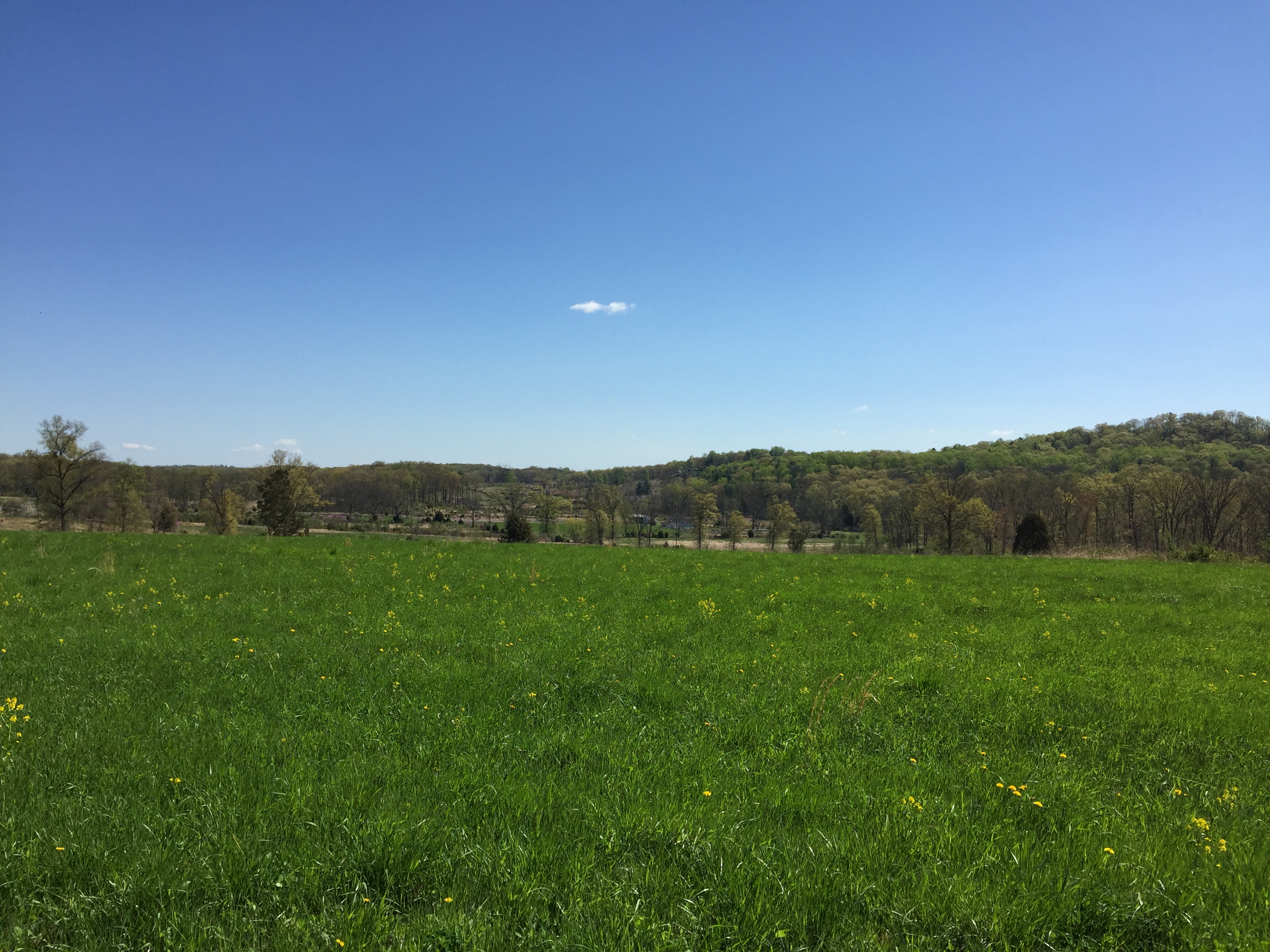View from Warfield Ridge toward the Union lines.