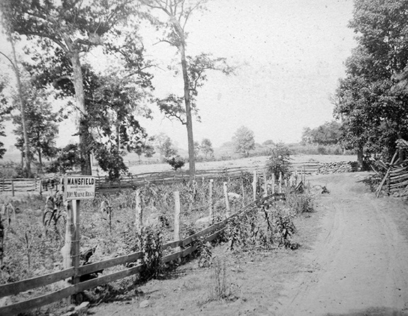 Postwar image of the East Woods at Antietam.