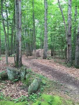 Stafford Tour Stop 01-path