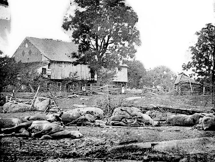 Trostle Farm in the days after Gettysburg. The horses in the yard are mainly from the stand of the 9th Massachusetts Battery.