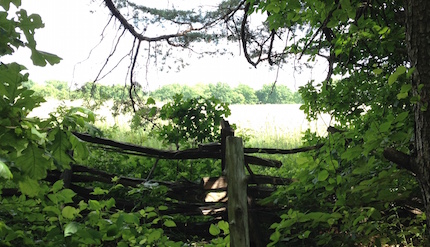 July2016NewsletterPhoto