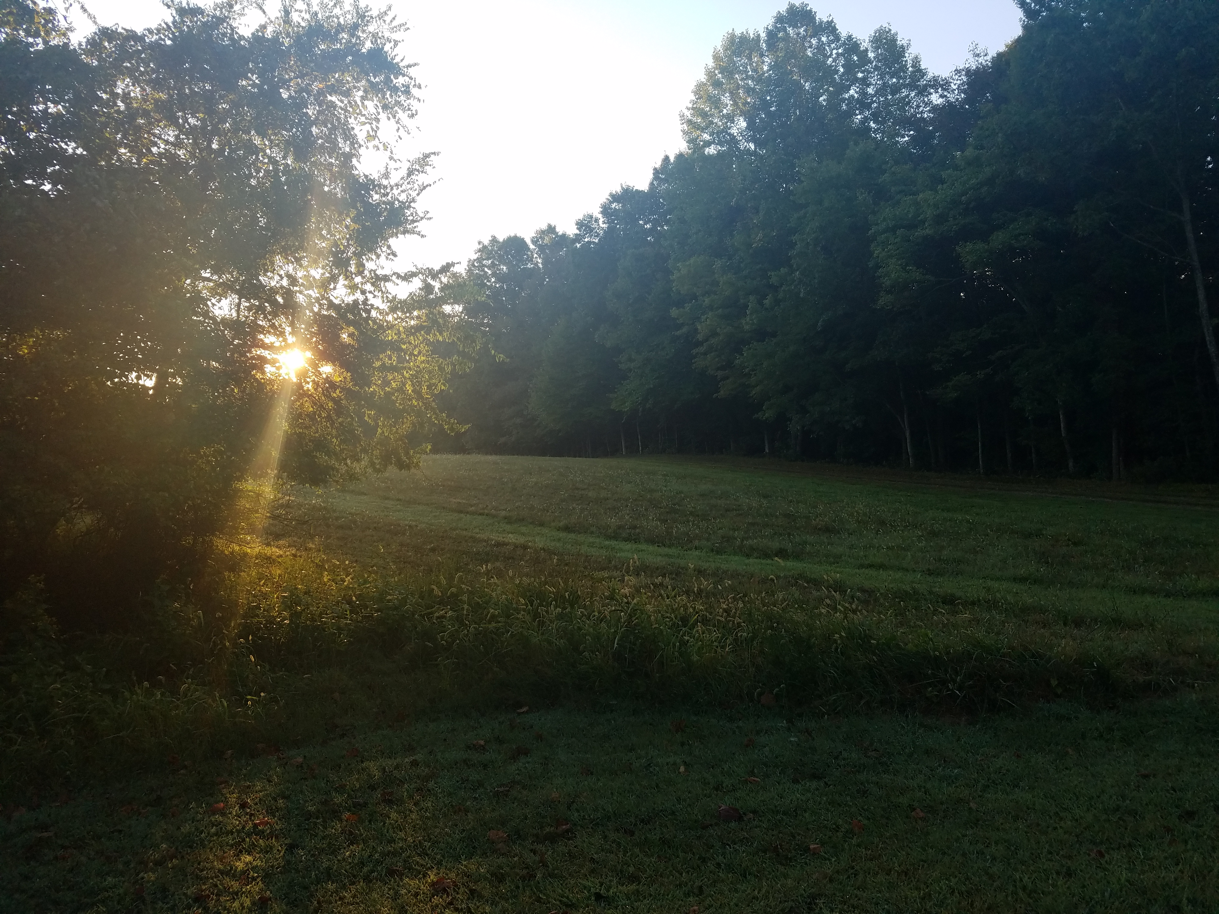 Early morning on a I Corps campsite