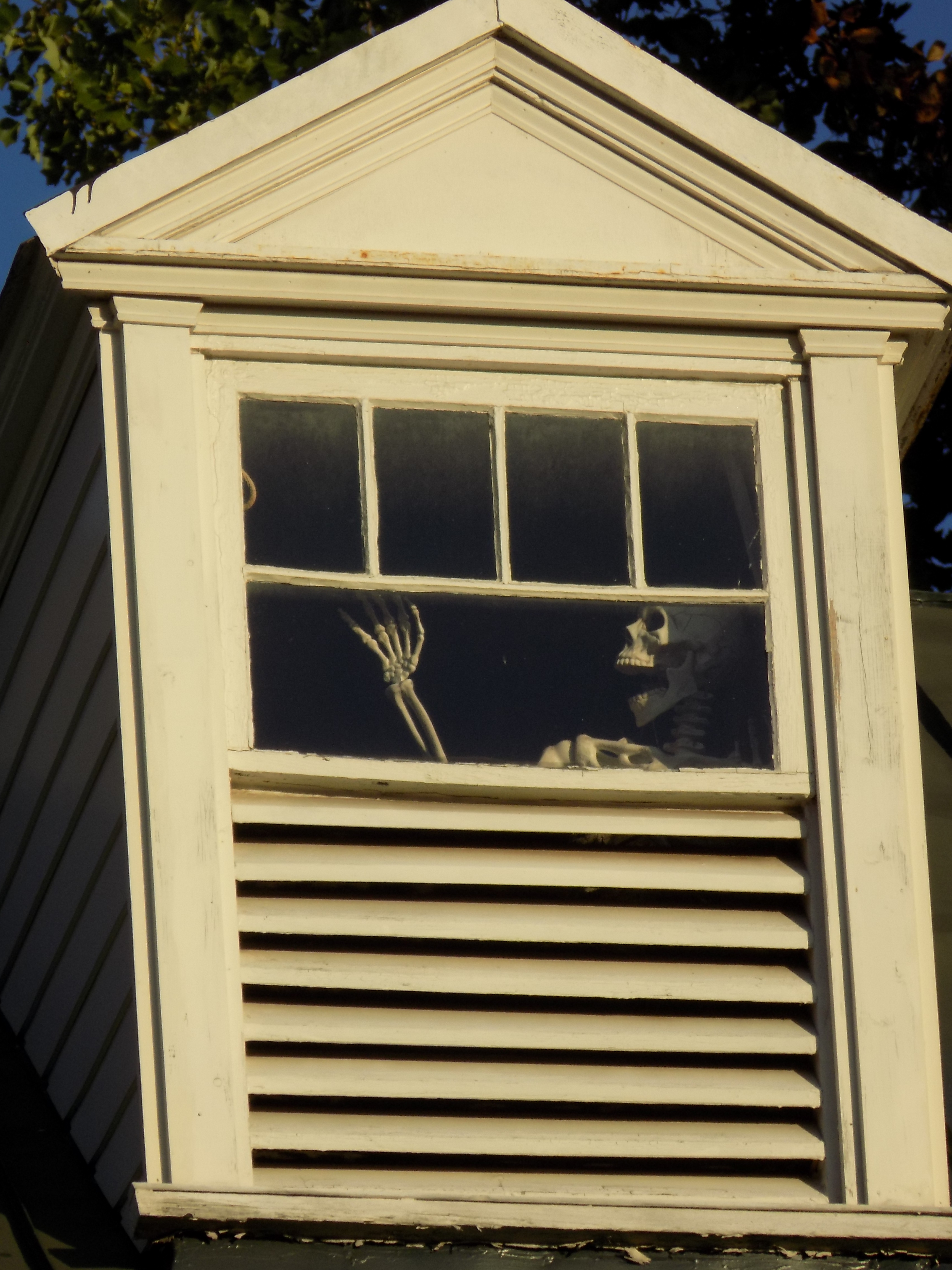 McGuire Home Skeleton