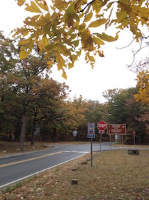 brrdplrd-intersection-copy